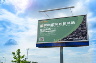 戶外高炮廣告設計 葡萄產品推廣的藝術與策略